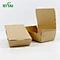 Take Away Food Containers